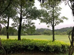 -福建鲤鱼洲酒店