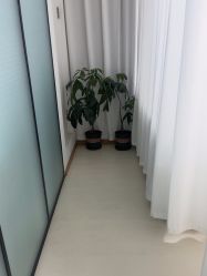 -薇兰专业脱毛连锁机构