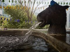 -中家鑫园温泉酒店鑫悦汤泉