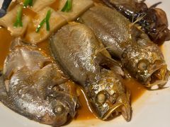 家烧三鲜-三利音·玖弄小鲜(浦东嘉里城店)