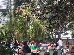 -The Grounds of Alexandria
