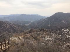 -大岭沟猕猴桃谷风景区