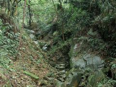 -南山植物园