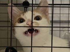 -壹人壹像工作室(购物公园店)