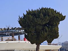-青岛第一海水浴场