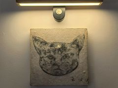 -猫里有甜