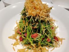 巧拌豆苗-四季民福烤鸭店(王府井东安门店)