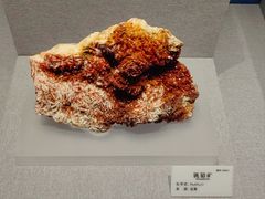 -贵州省地质博物馆