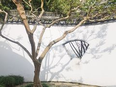 -上海醉白池公园