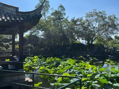 -无锡蠡湖国家湿地公园-蠡园
