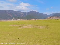 -纳帕海依拉草原