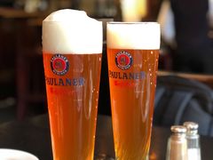 白啤-宝莱纳餐厅(滨江店)