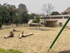 -成都动物园