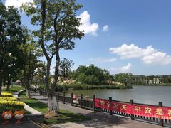 -上海长兴岛郊野公园