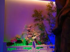 -庭院江南菜•烤鸭•非遗传承(丰台总部基地店)