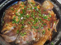 -食家鸽园