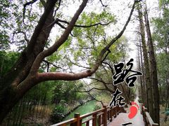 -同里国家湿地公园