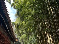 -潭柘寺景区
