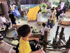 -正佳雨林生态植物园