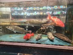 -龙宴海鲜城(经中路店)