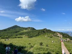 -白草畔自然风景区