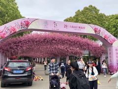 -南汇桃花村