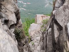 -北京鹫峰国家森林公园