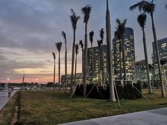 -宝安西湾红树林湿地公园