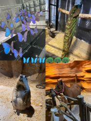 -酷嗒动物文化乐园(cutezoo西溪乐天城店)