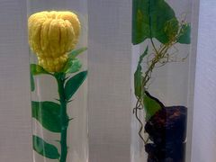 -广东中医药博物馆