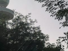 -青岛电视塔