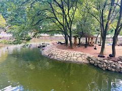 -黔灵山公园