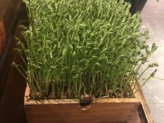-渝味晓宇火锅(合川路店)