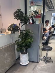 -LJOY丽锦造型·烫发染发