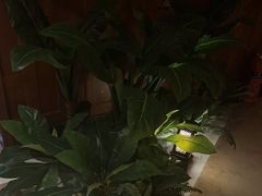 -紫莲花足道(柯桥古镇店)