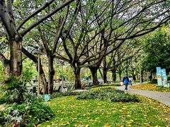 -新南门(地铁站)