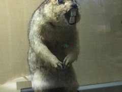 -陕西自然博物馆