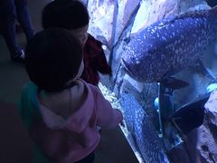 -哈尔滨波塞冬海底世界