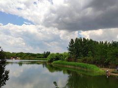 -大兴滨河森林公园