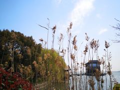 -同里湖度假村(二期店)