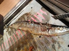 秋刀鱼-新石器烤肉(周浦万达店)