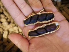 -浙江大学医学院附属第一医院(庆春院区)