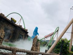-鹦鹉过山车