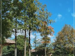 -上海野生动物园