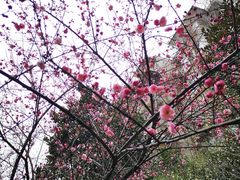 -爷爷的土钵菜(街道口店)