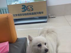 -北京观赏动物医院·24小时大型综合·猫专科·异宠专科