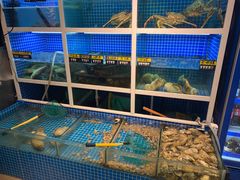 水产区-金龙·打边炉(南京西路店)