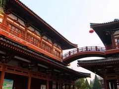 -西安青龙寺遗址景区