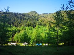 -武陵山森林公园