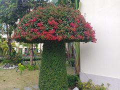 -惠州金海湾嘉华度假酒店